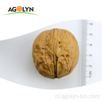 Agolyn papier shell verse ongebroken biologische walnoten prijzen